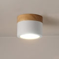WINTHROP SPOTLIGHT CEILING APPLIQUE