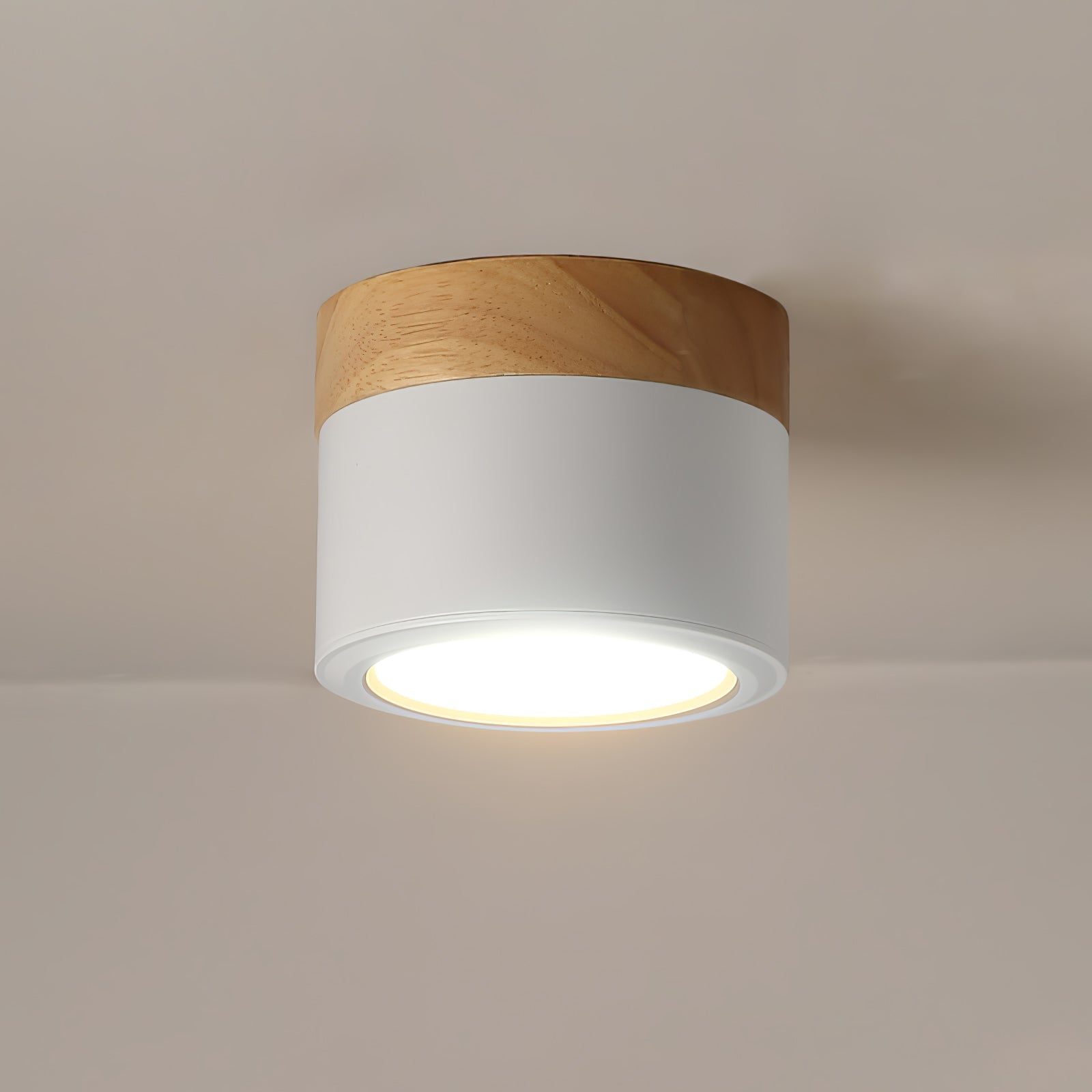 WINTHROP SPOTLIGHT CEILING APPLIQUE