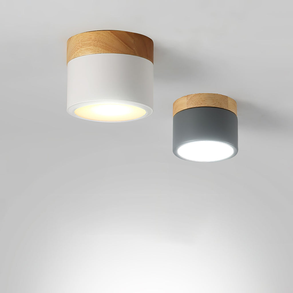 WINTHROP SPOTLIGHT CEILING APPLIQUE