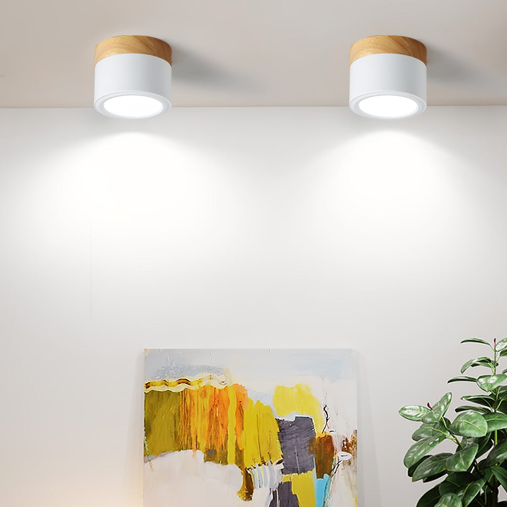 WINTHROP SPOTLIGHT CEILING APPLIQUE