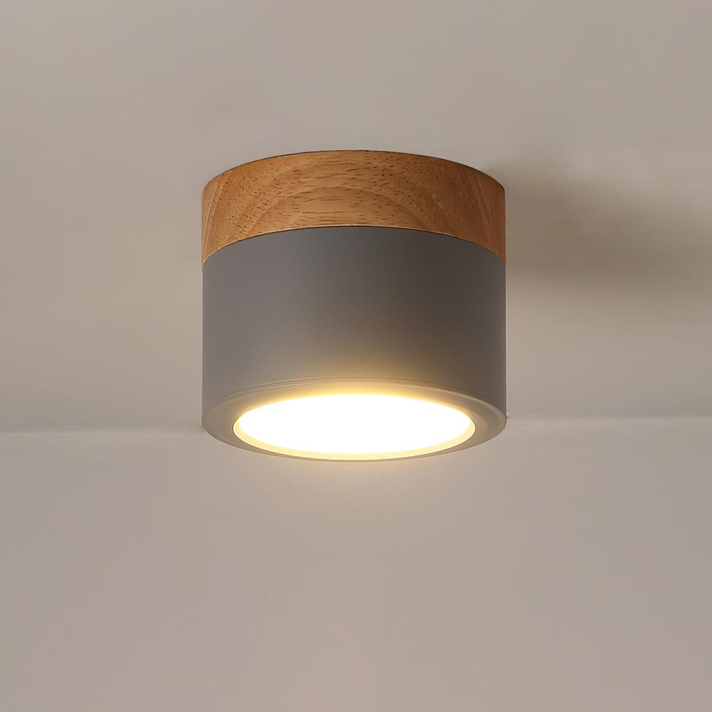 WINTHROP SPOTLIGHT CEILING APPLIQUE