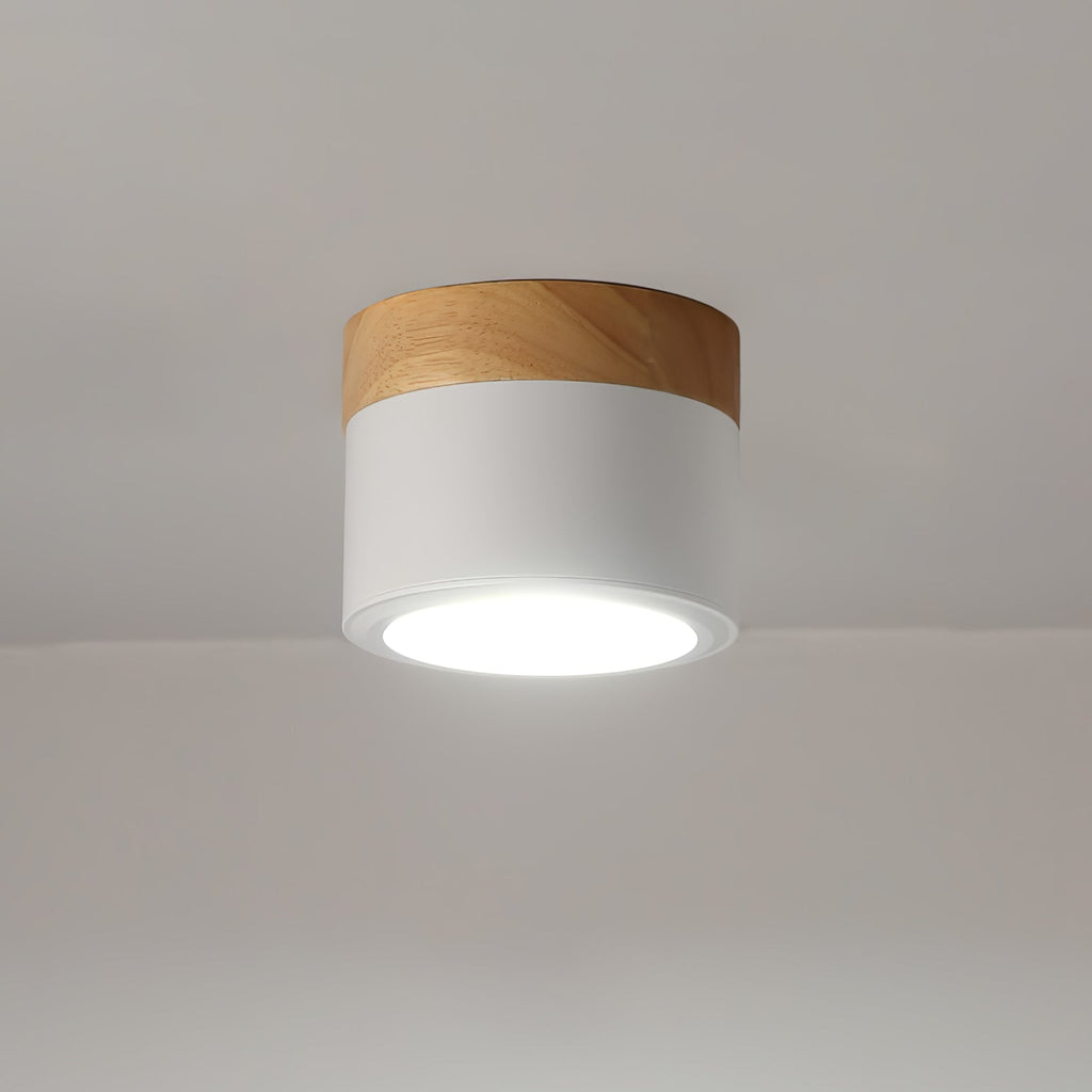 WINTHROP SPOTLIGHT CEILING APPLIQUE