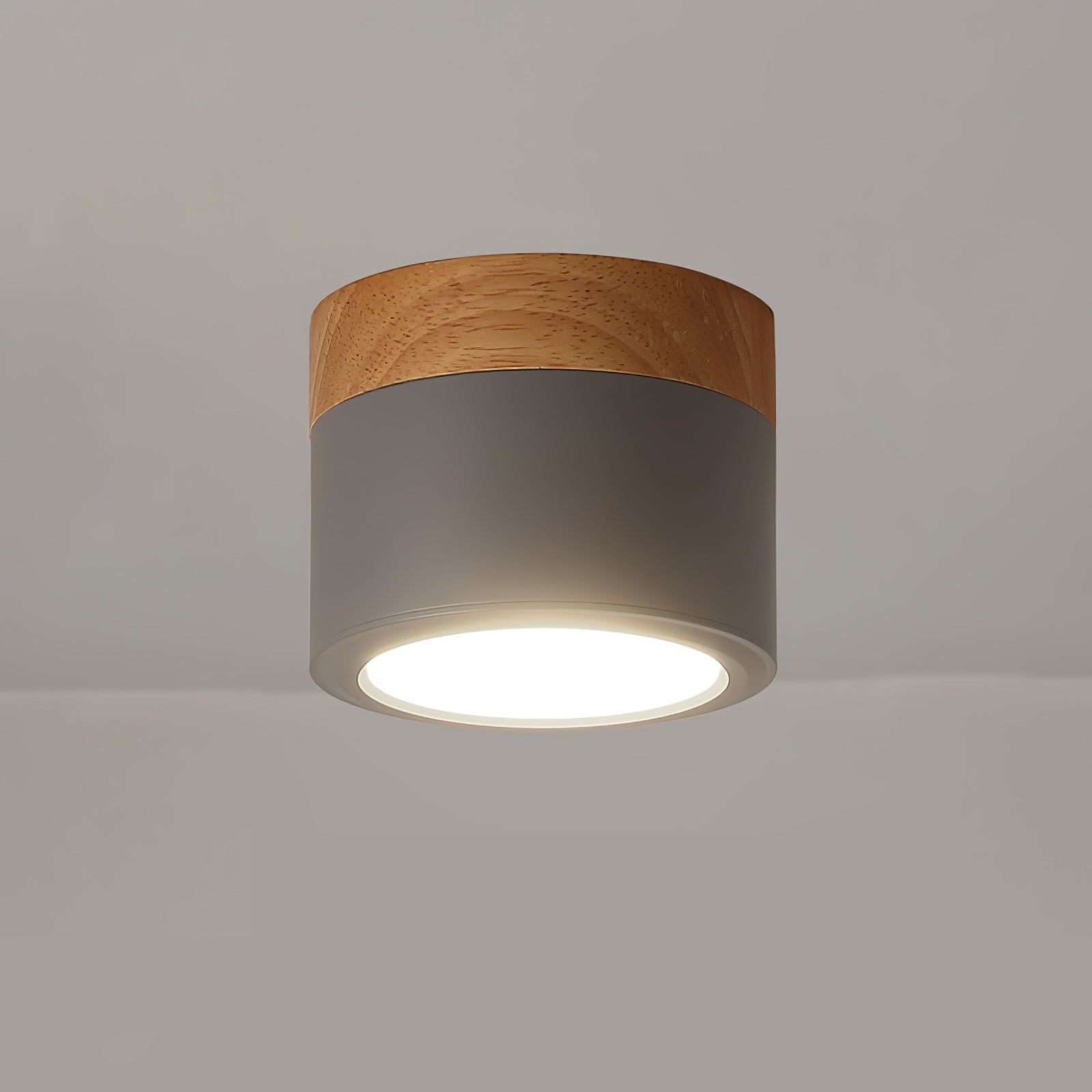 WINTHROP SPOTLIGHT CEILING APPLIQUE