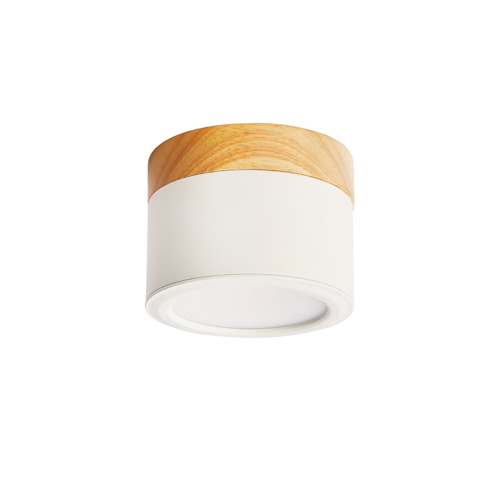 WINTHROP SPOTLIGHT CEILING APPLIQUE