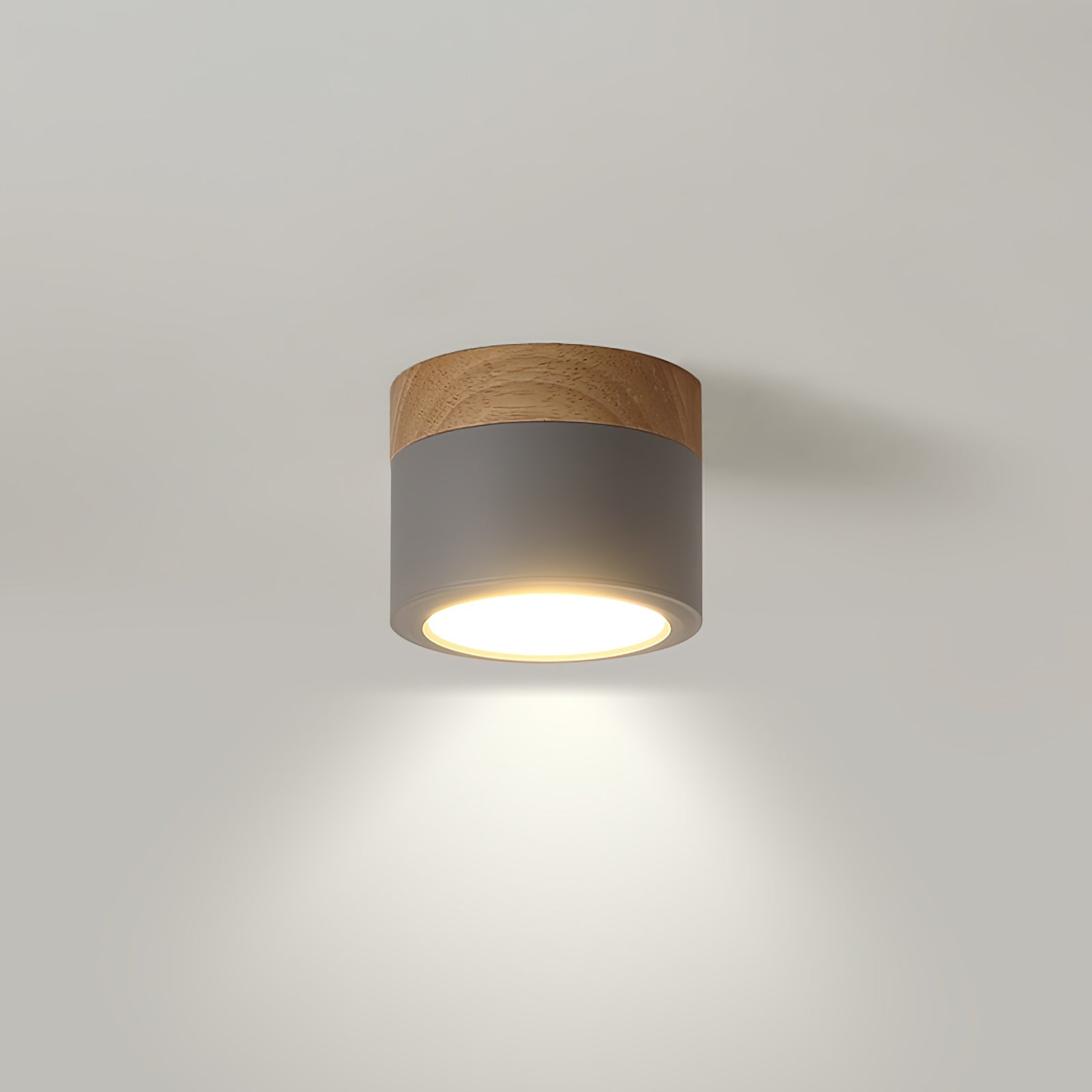 WINTHROP SPOTLIGHT CEILING APPLIQUE