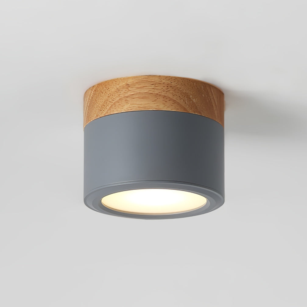 WINTHROP SPOTLIGHT CEILING APPLIQUE