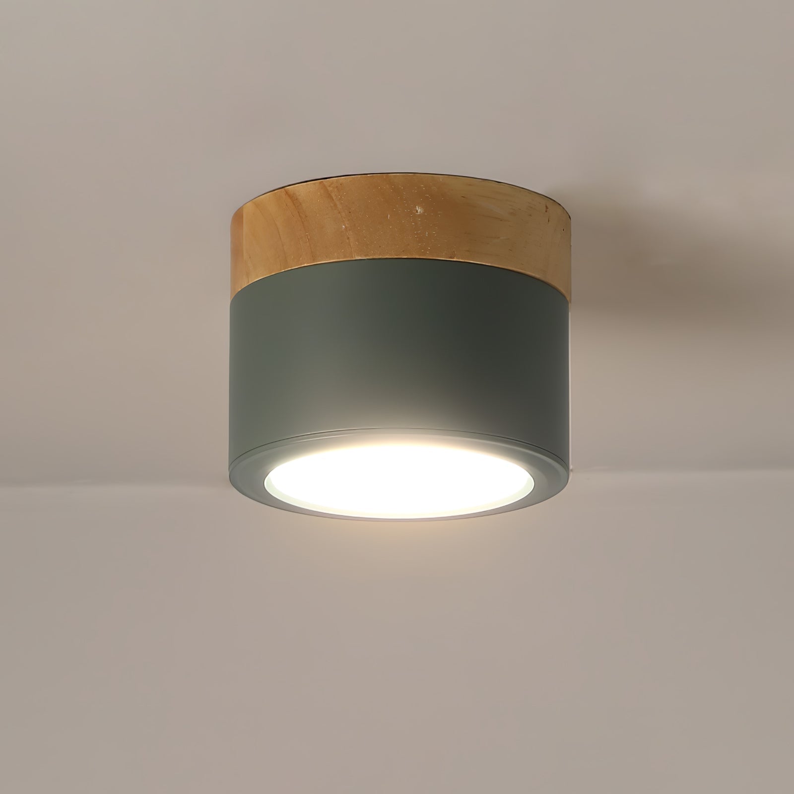 WINTHROP SPOTLIGHT CEILING APPLIQUE