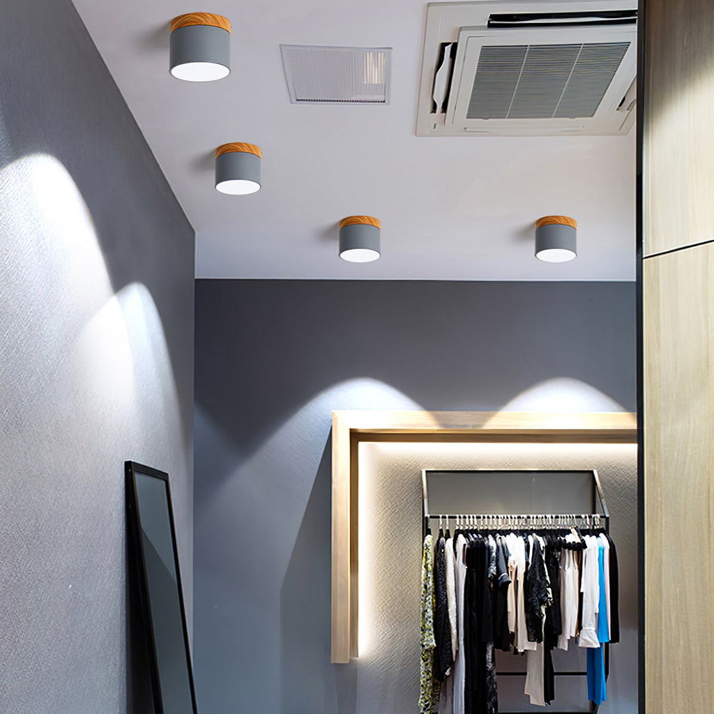 WINTHROP SPOTLIGHT CEILING APPLIQUE