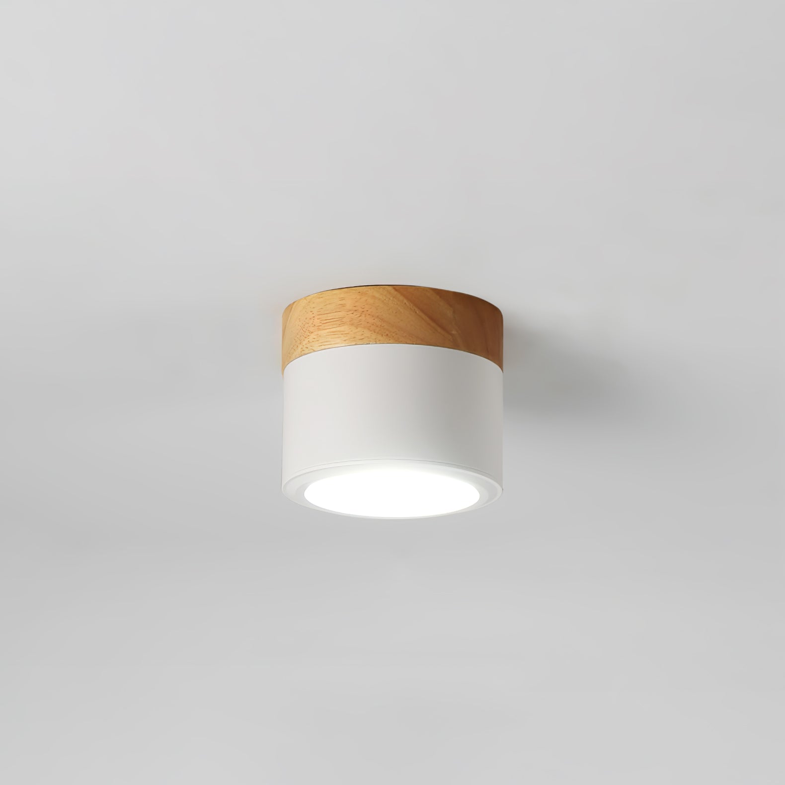 WINTHROP SPOTLIGHT CEILING APPLIQUE
