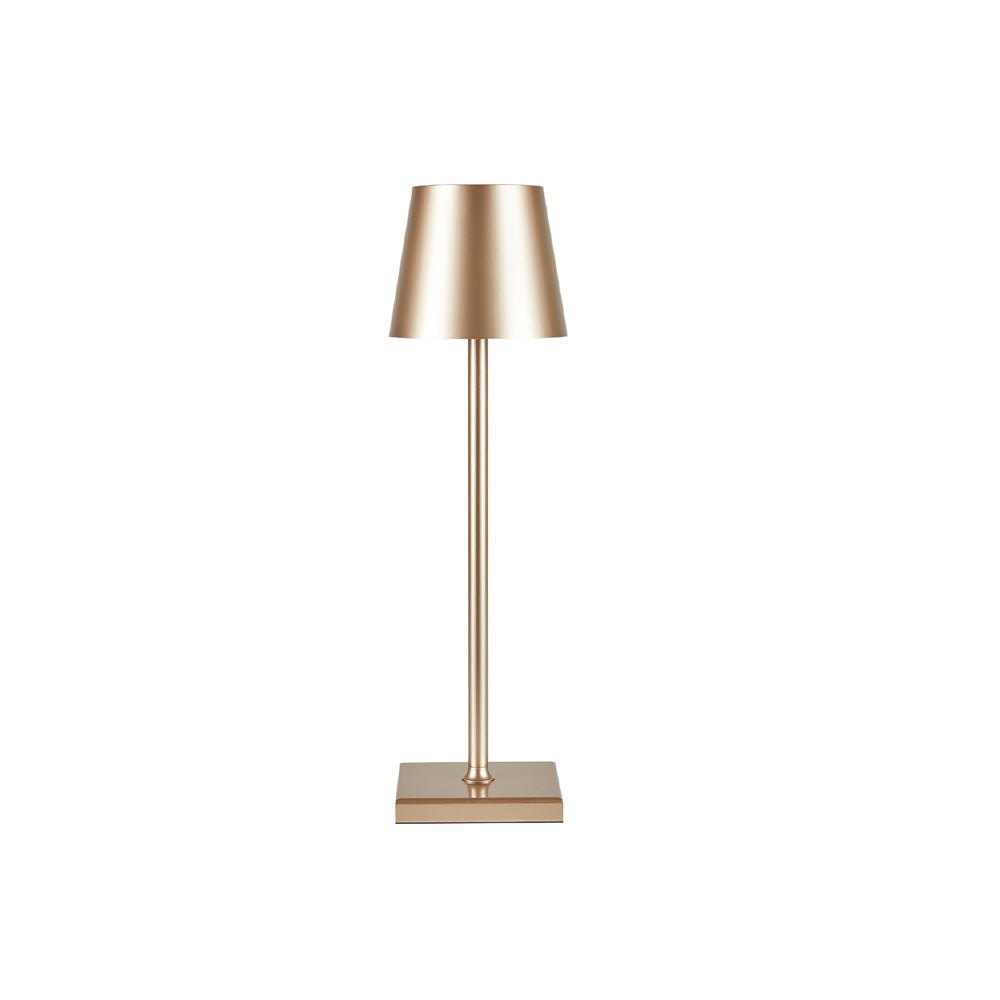 FARNWORTH PORTABLE ILLUMINATION LAMP