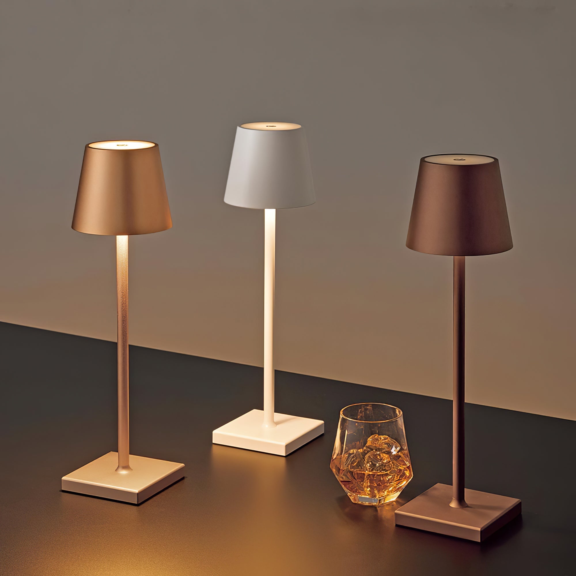 FARNWORTH PORTABLE ILLUMINATION LAMP