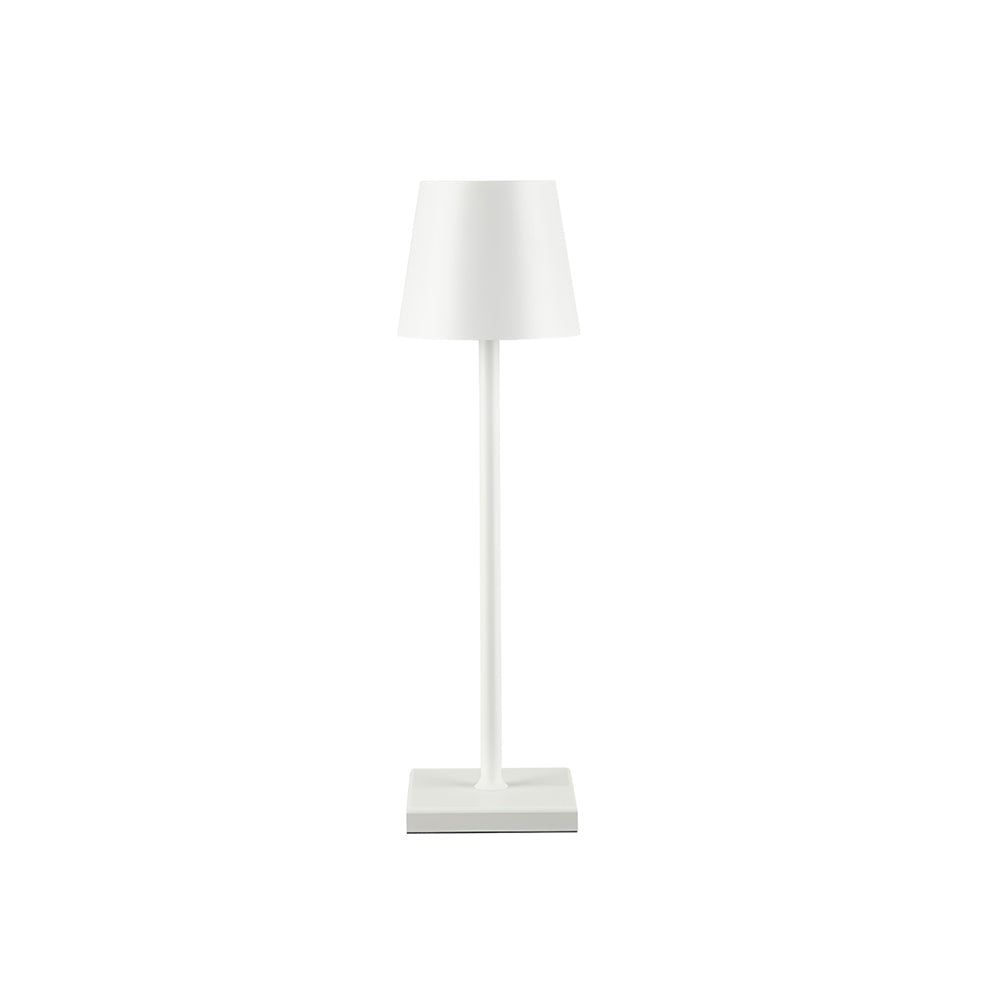 FARNWORTH PORTABLE ILLUMINATION LAMP