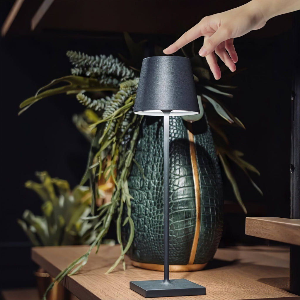 FARNWORTH PORTABLE ILLUMINATION LAMP