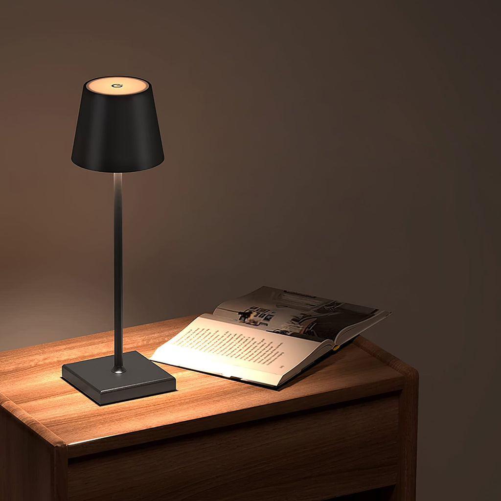 FARNWORTH PORTABLE ILLUMINATION LAMP