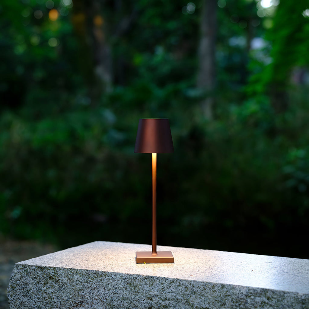 FARNWORTH PORTABLE ILLUMINATION LAMP