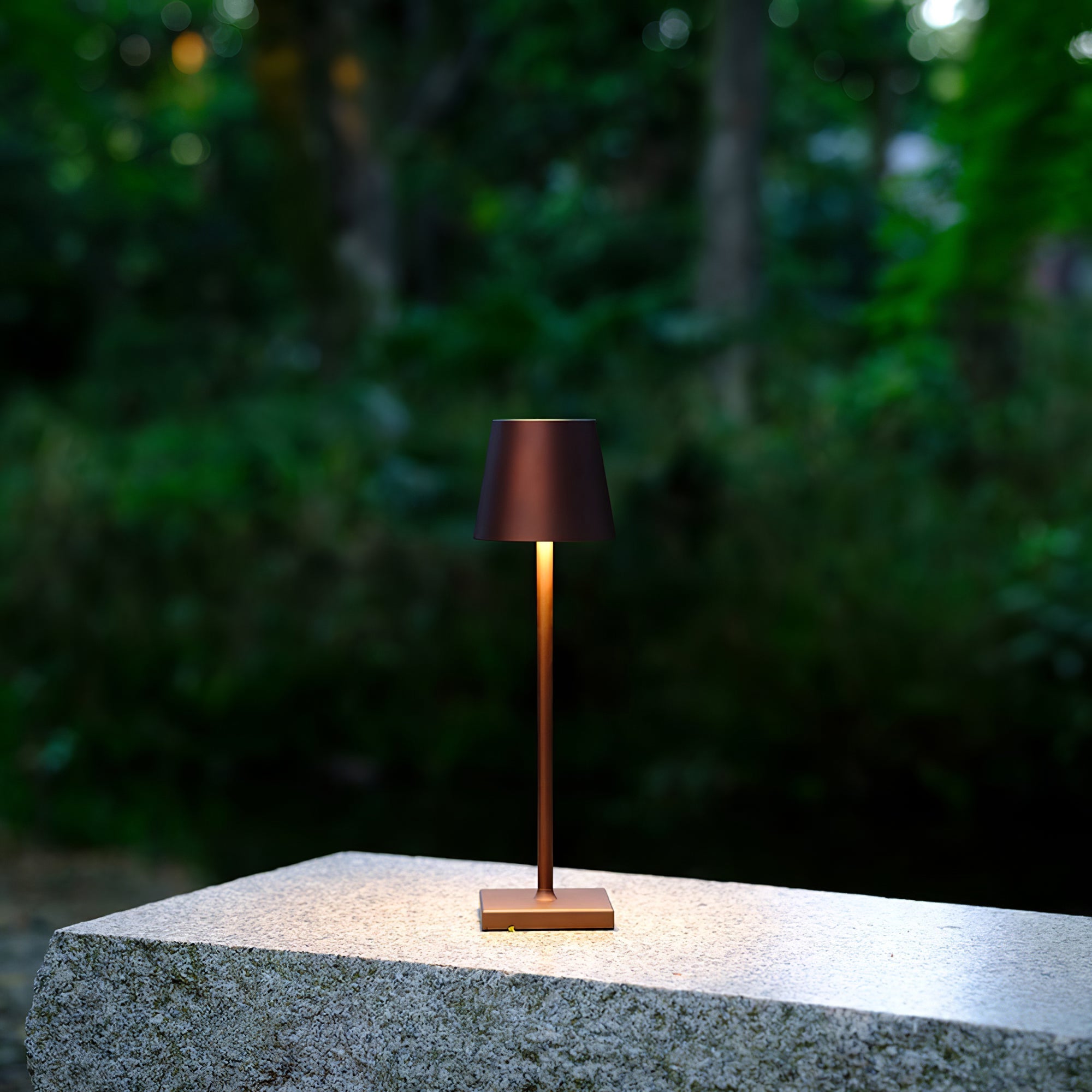 FARNWORTH PORTABLE ILLUMINATION LAMP