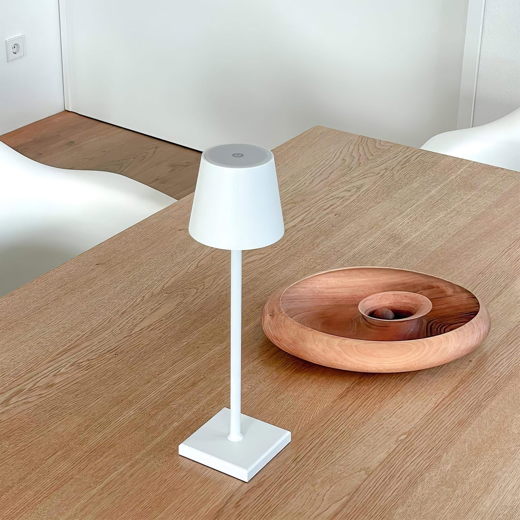 FARNWORTH PORTABLE ILLUMINATION LAMP