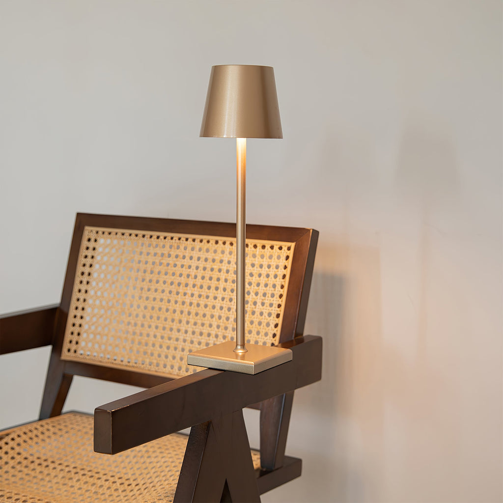 FARNWORTH PORTABLE ILLUMINATION LAMP