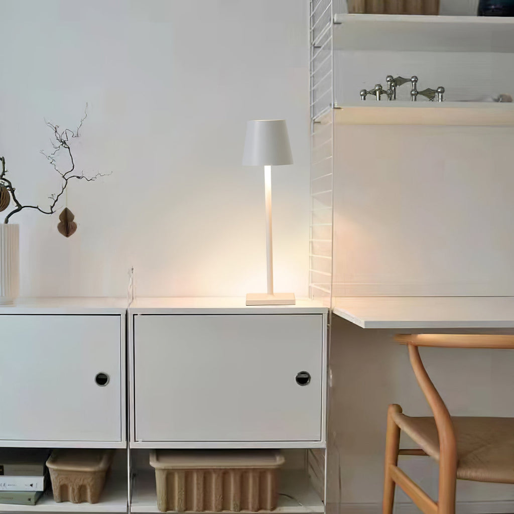 FARNWORTH PORTABLE ILLUMINATION LAMP