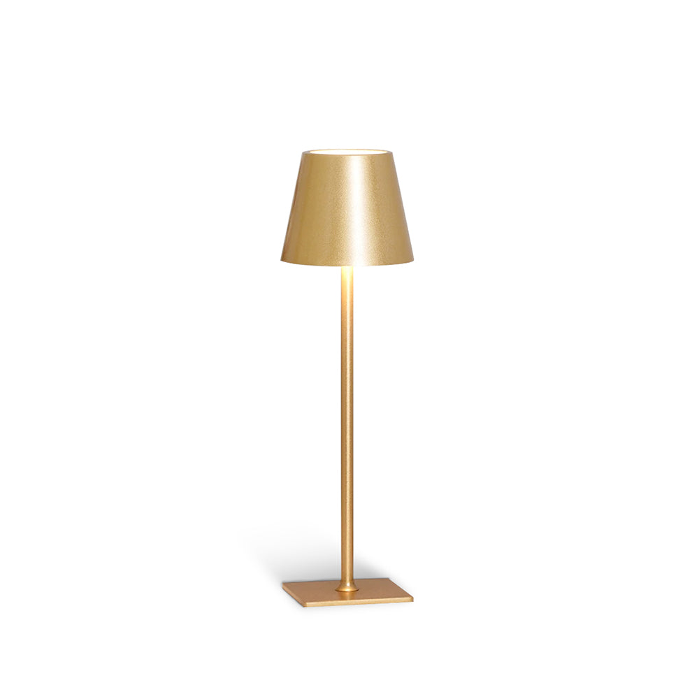 FARNWORTH PORTABLE ILLUMINATION LAMP
