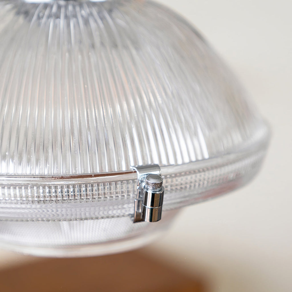 RAVENSDALE COLORFALL HANGING LIGHT