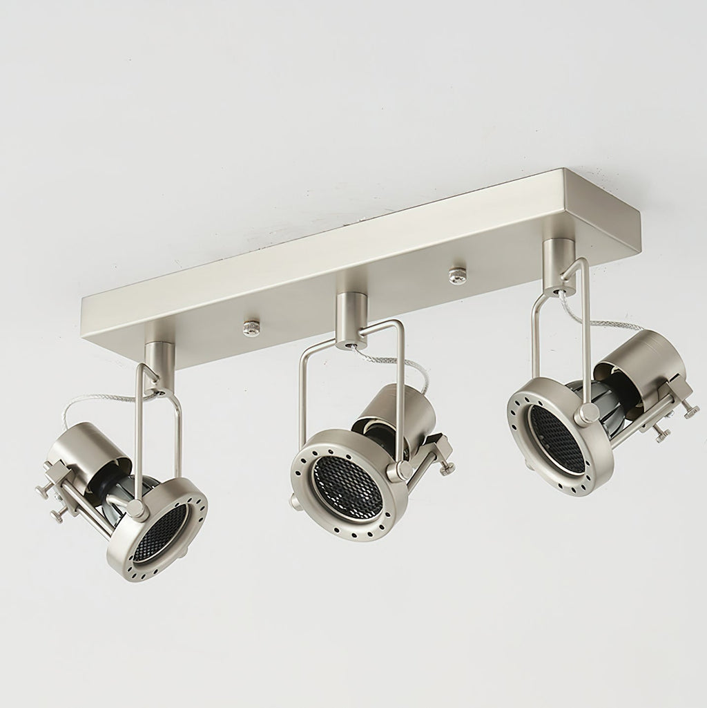 RAVENHALL DUAL-ARMED CEILING LANTERN