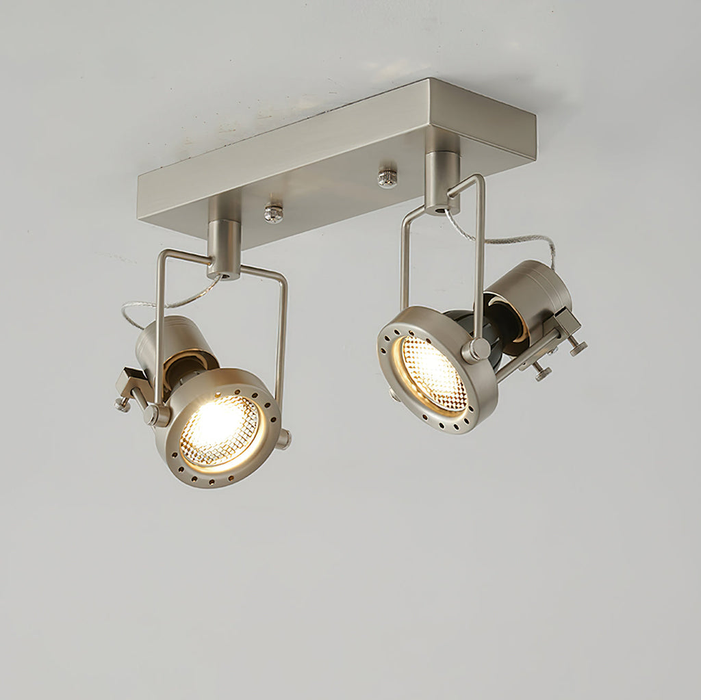 RAVENHALL DUAL-ARMED CEILING LANTERN