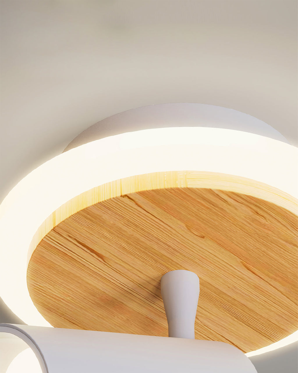 YAMAMOTO NOODLE ILLUMINATOR