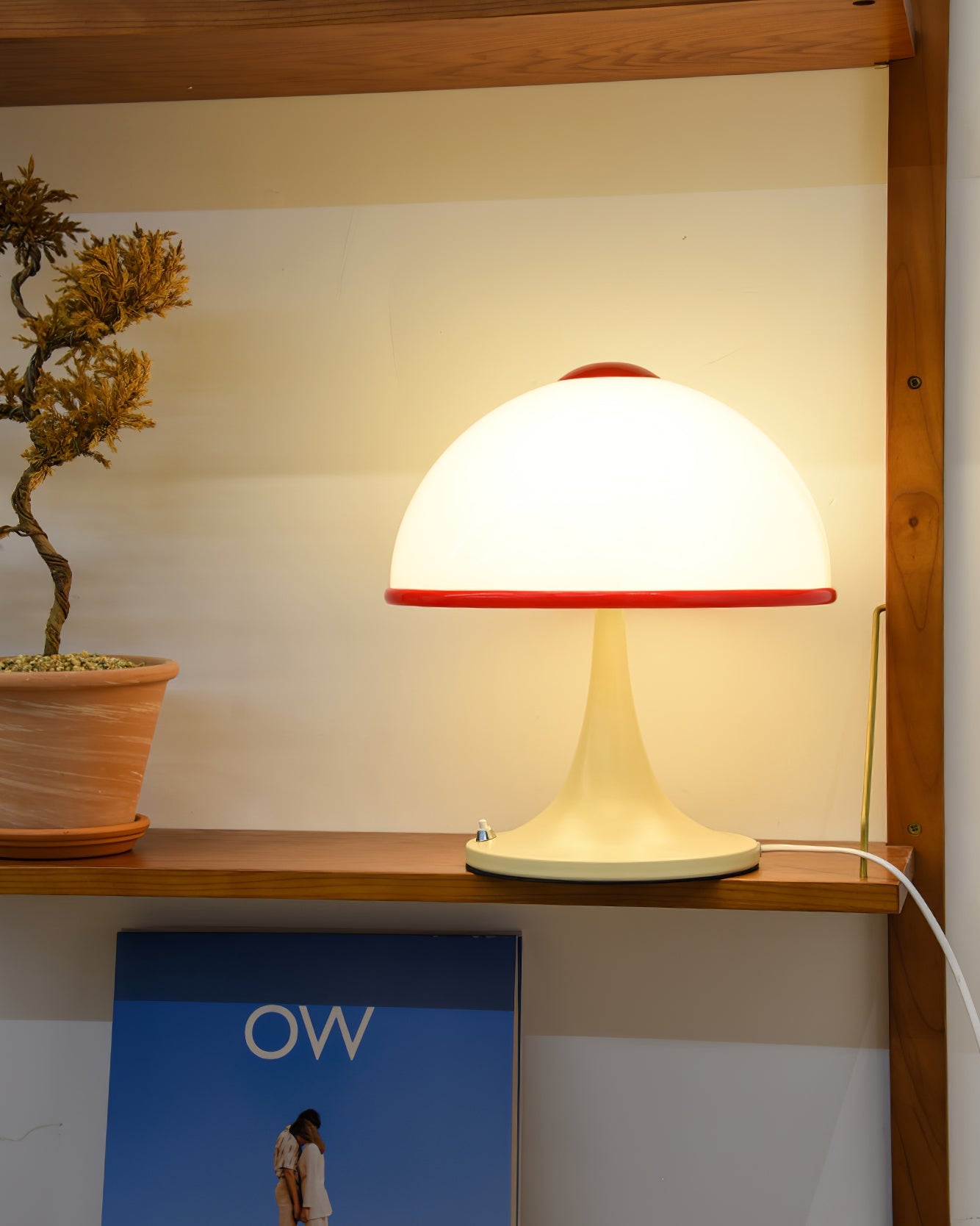 FENWICK FUNGAL ILLUMINATOR