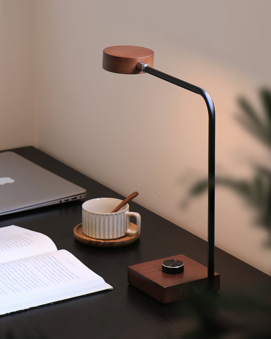 FENWICK ORBITAL ILLUMINATOR