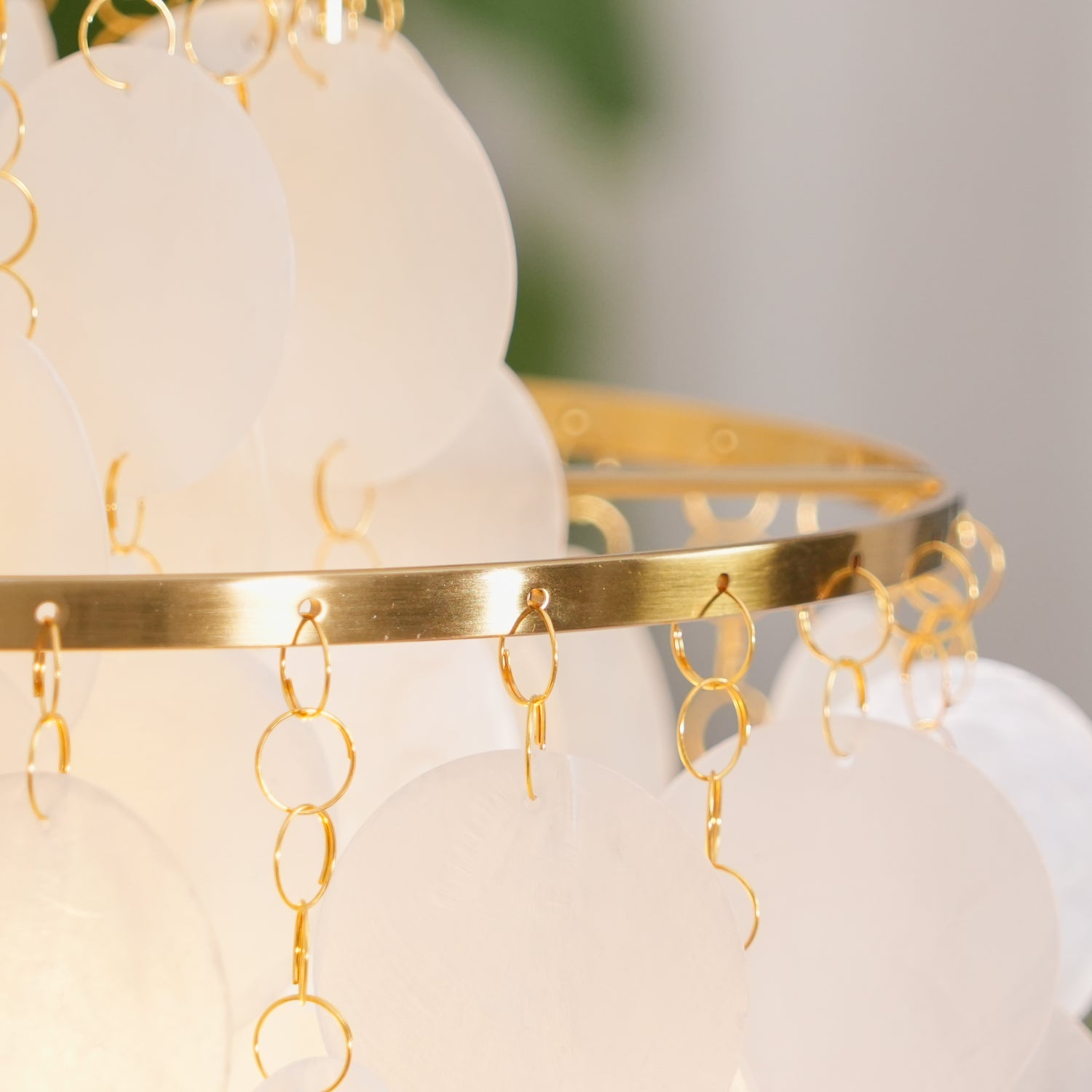 CORALINE COQUILLE HANGING LANTERN