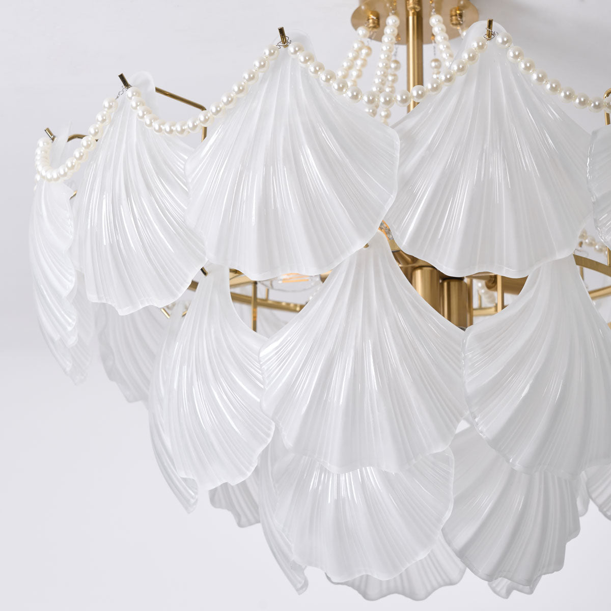 CORALINE SEASHELL ILLUMINATION CANOPY