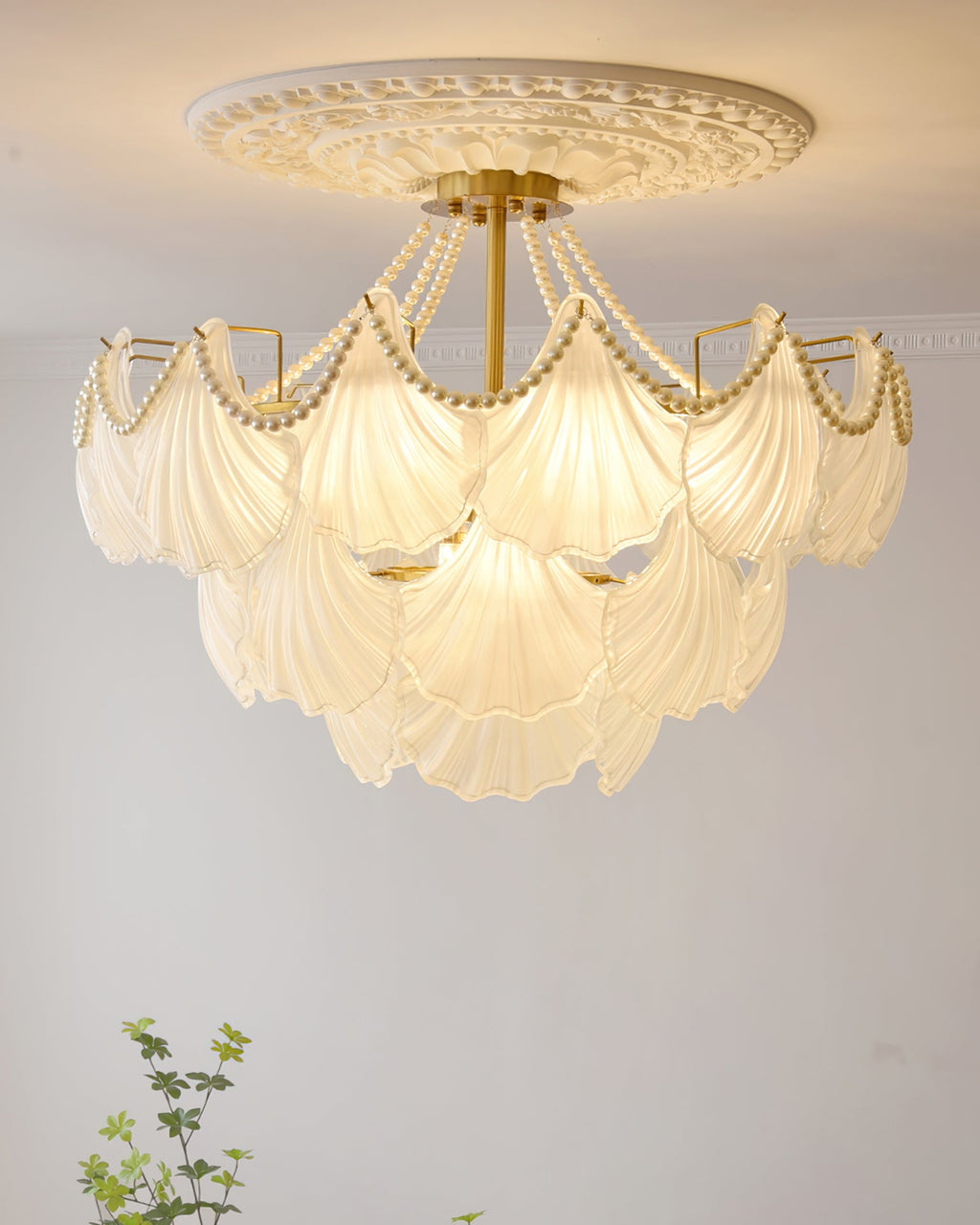 CORALINE SEASHELL ILLUMINATION CANOPY