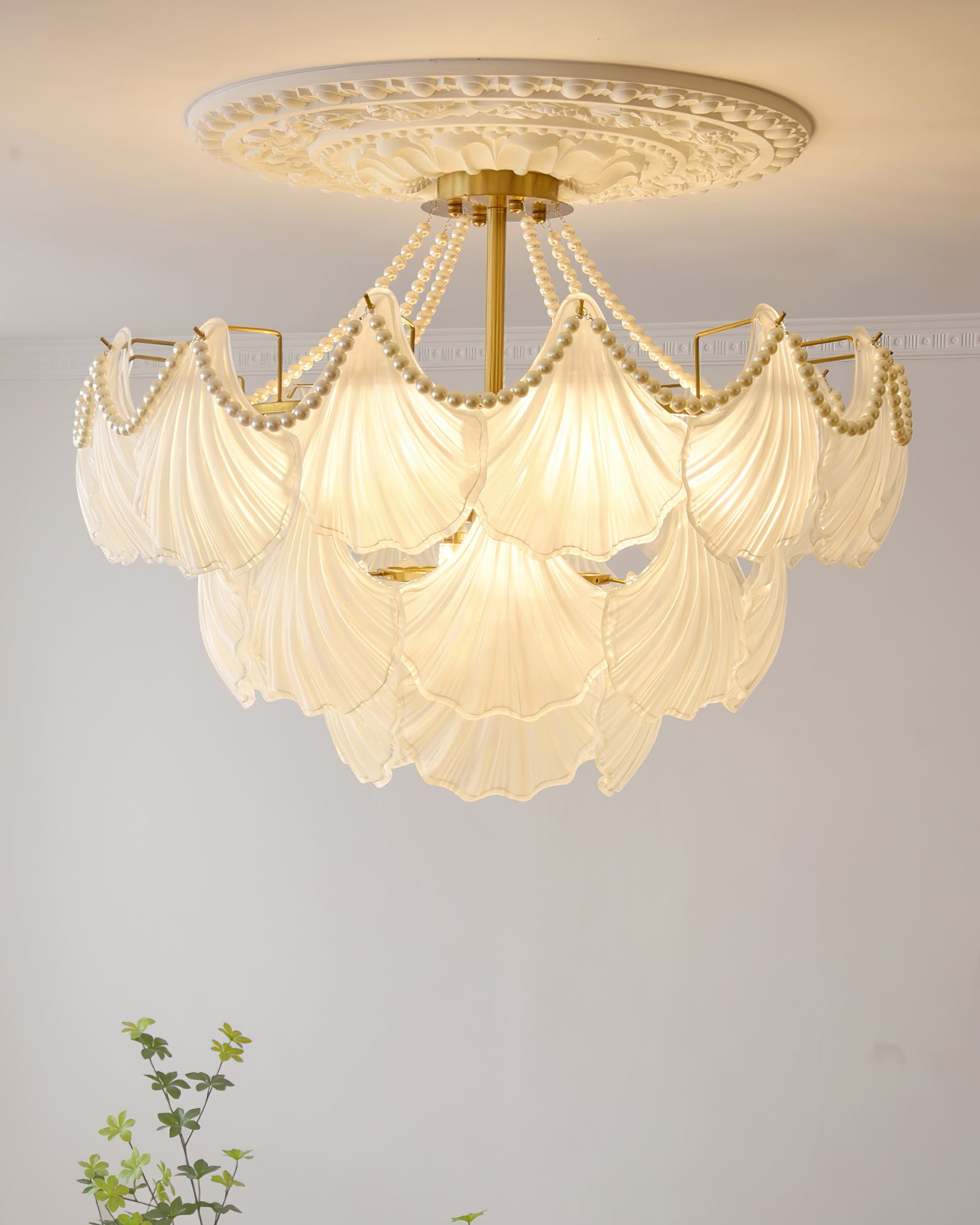 CORALINE SEASHELL ILLUMINATION CANOPY