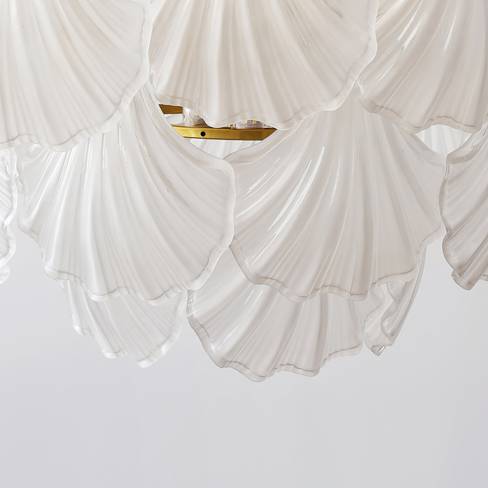 CORALINE SEASHELL ILLUMINATION CANOPY