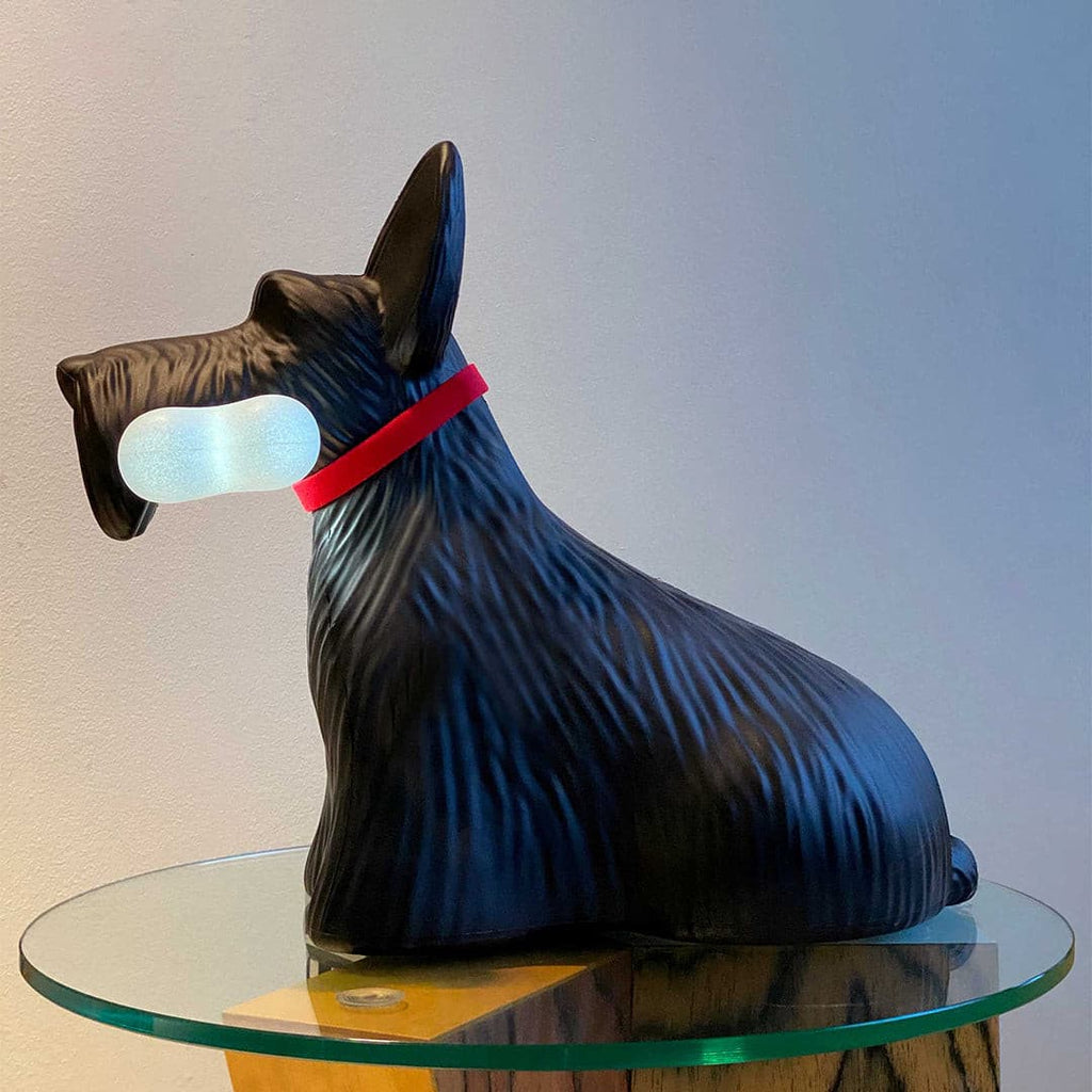 RAVENHURST WHIMSICAL CANOPY LAMP