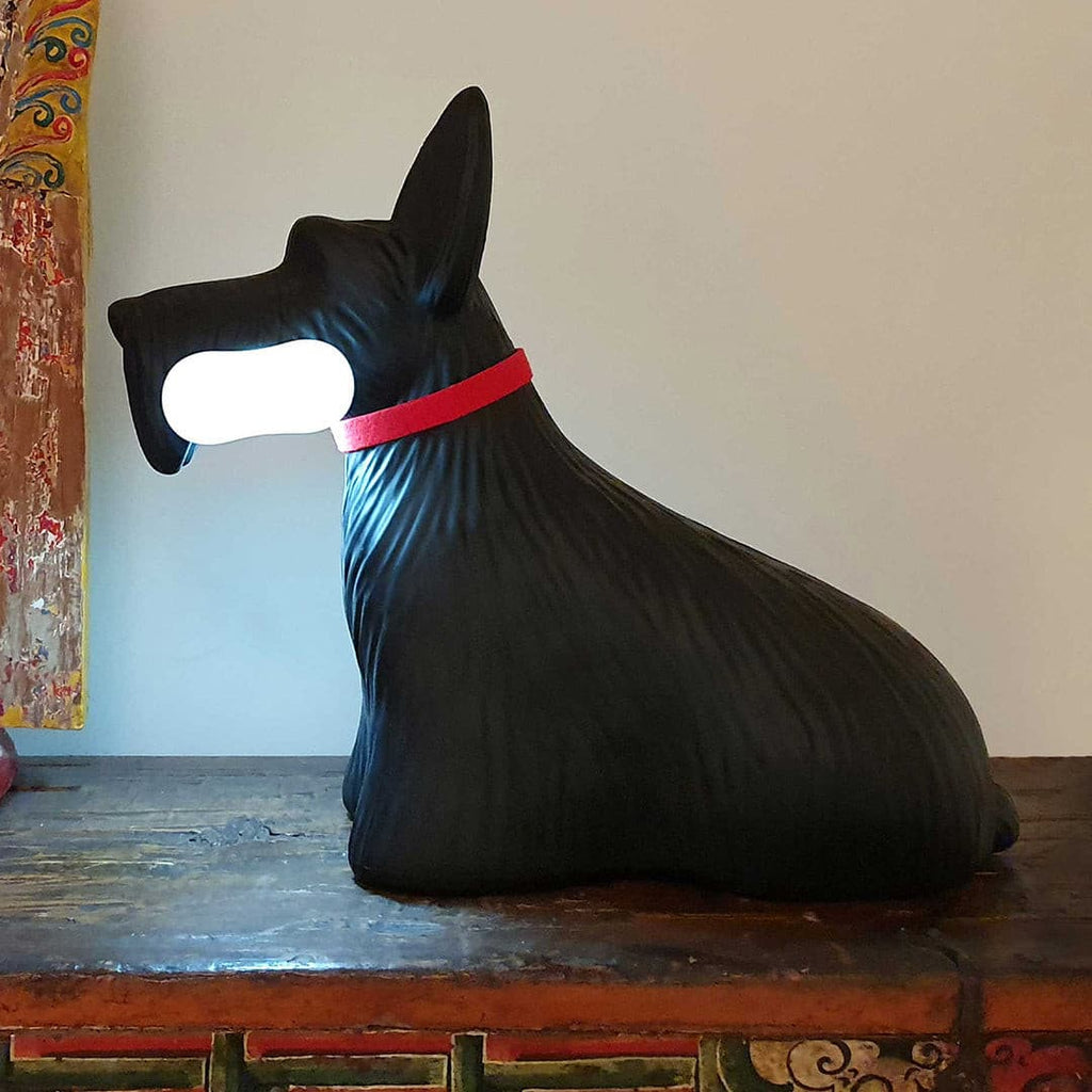 RAVENHURST WHIMSICAL CANOPY LAMP