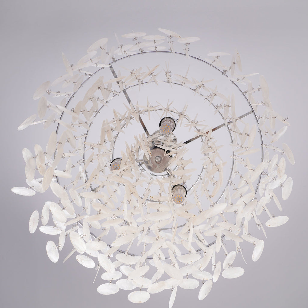CORALINE COQUILLE HANGING LANTERN