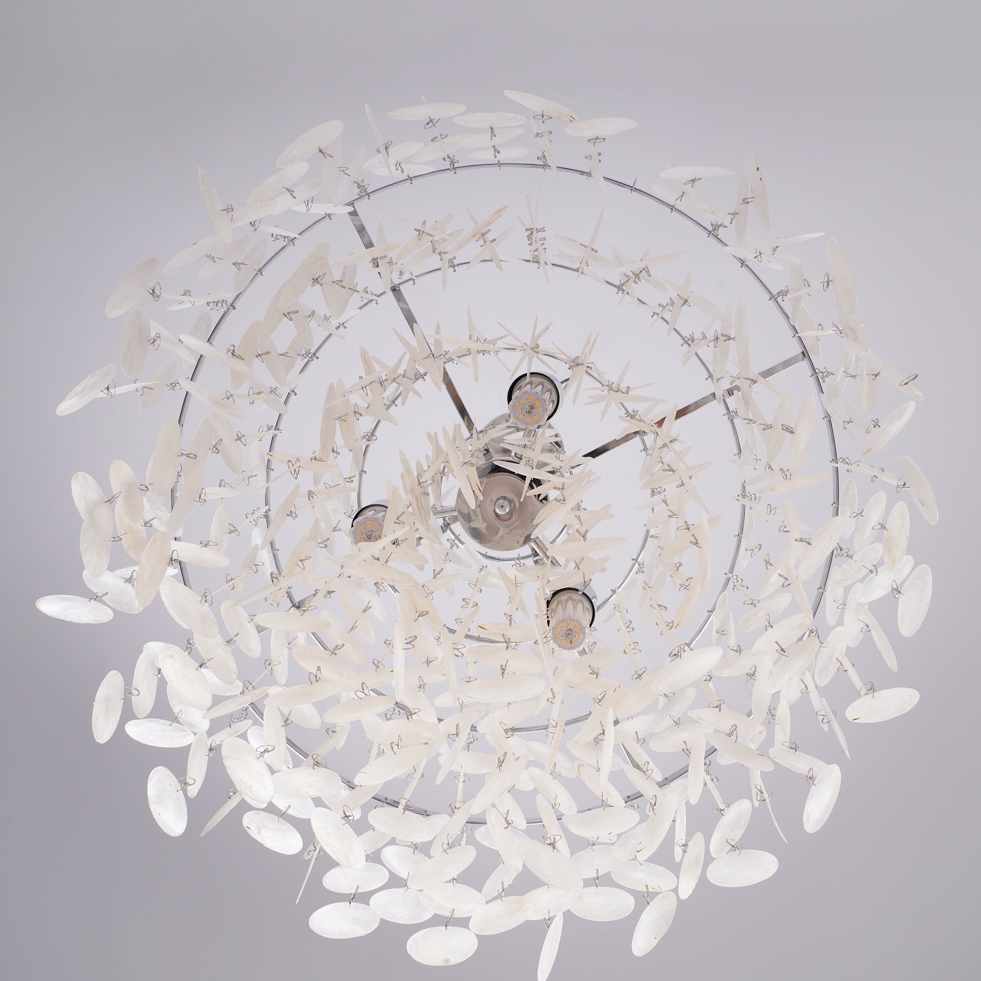 CORALINE COQUILLE HANGING LANTERN