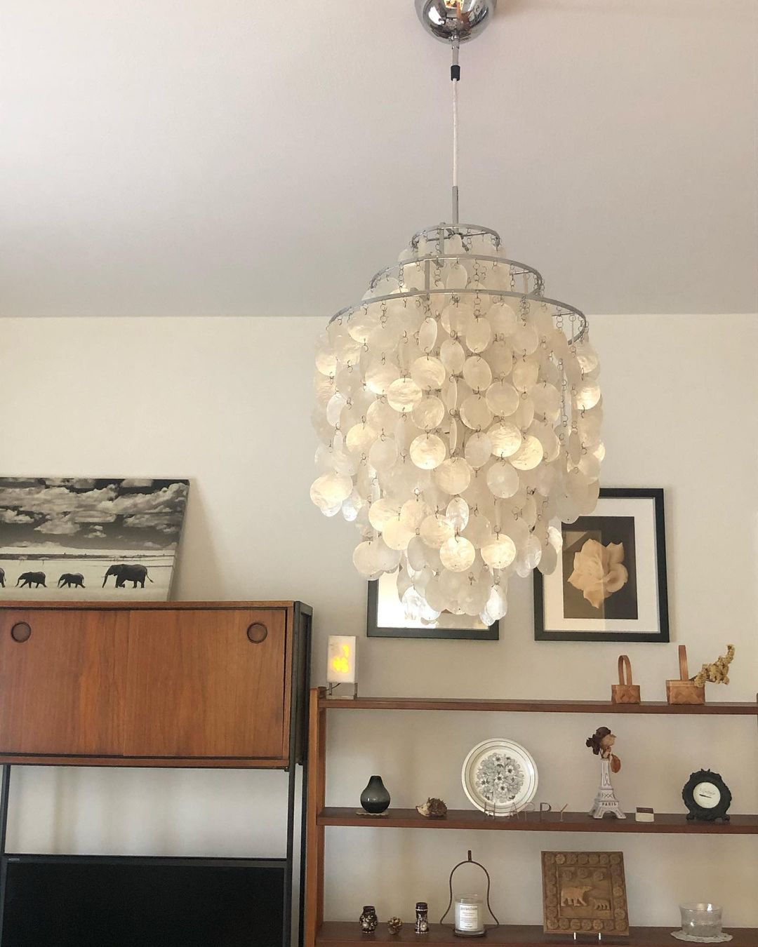 CORALINE COQUILLE HANGING LANTERN