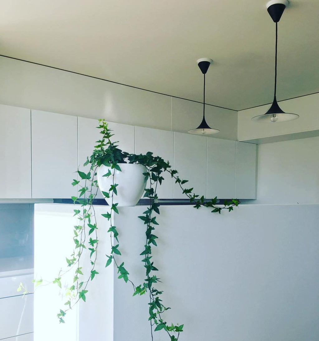 RAVENWOOD HEMISPHERICAL HANGING LANTERN