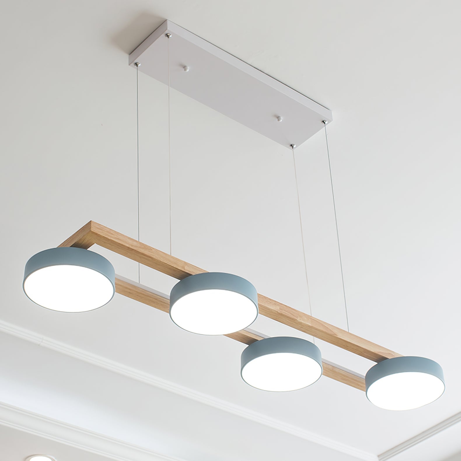 FENWICK AVIAN LONG PENDANT CHANDELIER