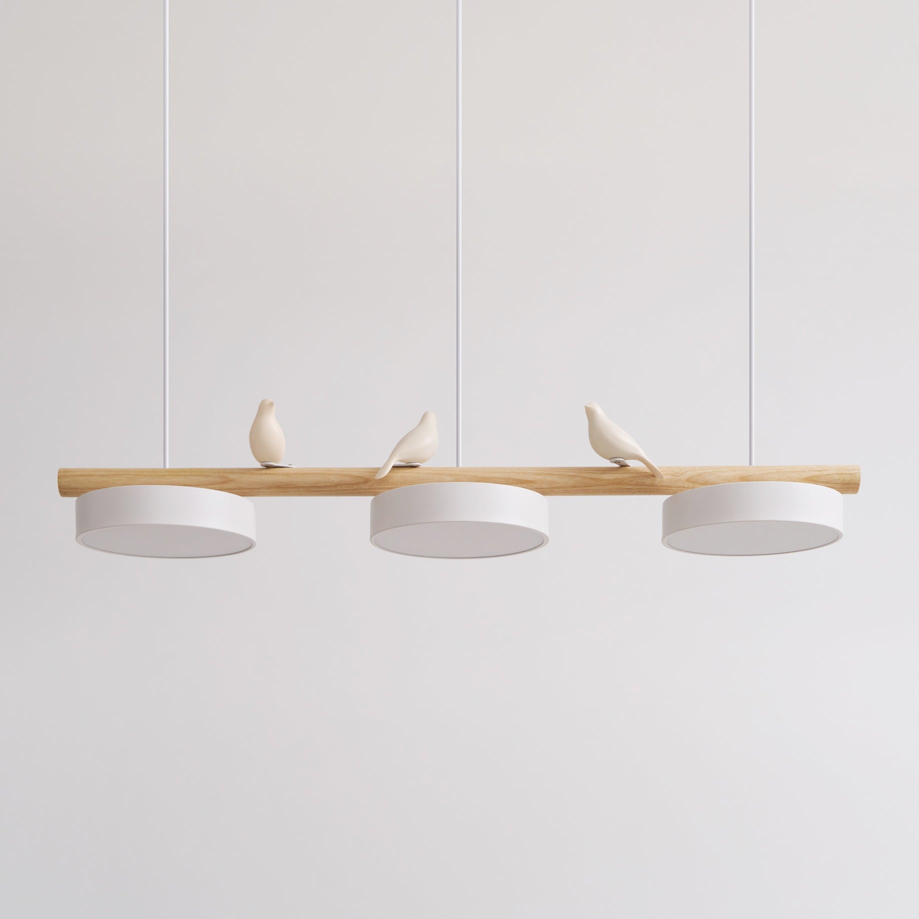 RAVENHURST AVIAN INSPIRATION HANGING LAMP