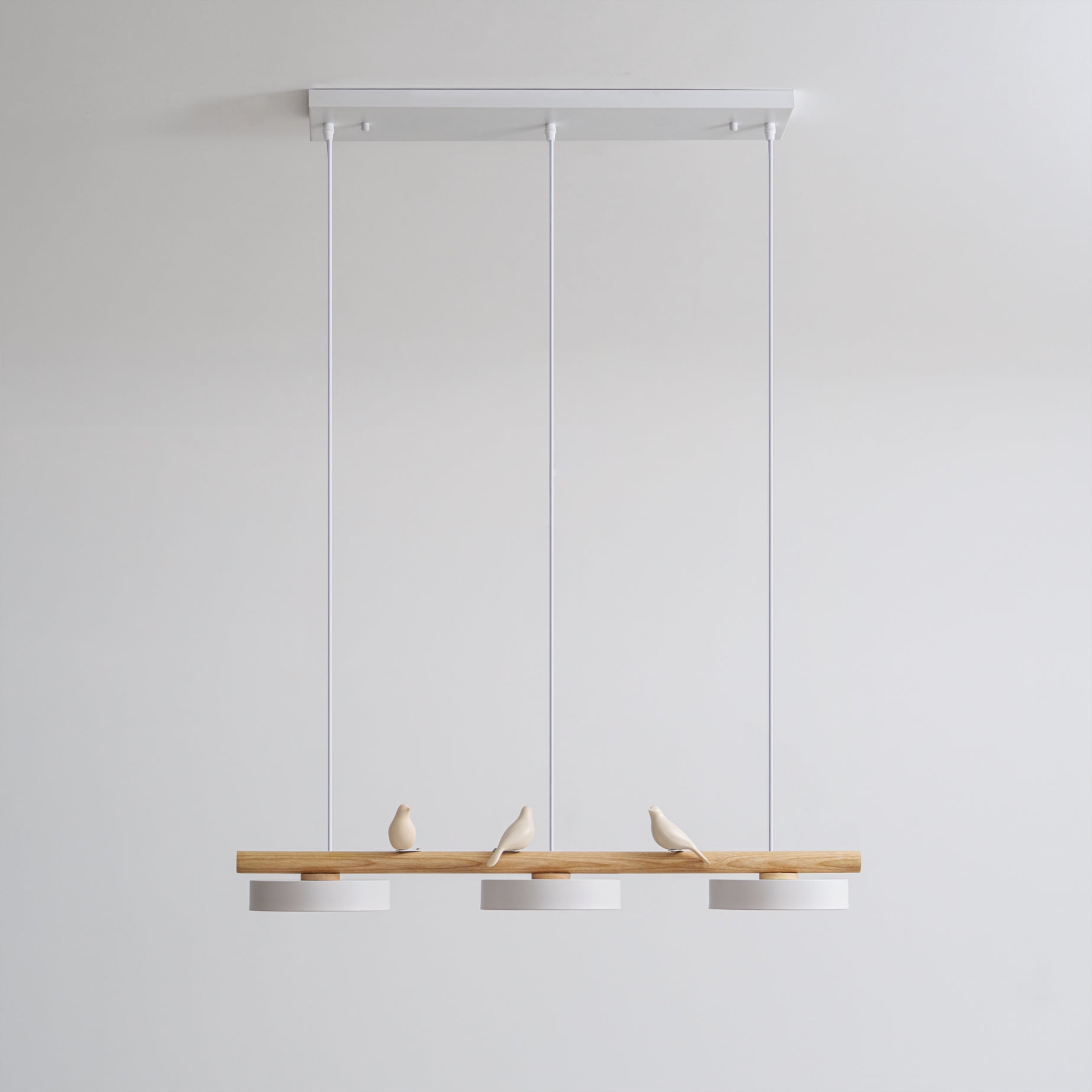 RAVENHURST AVIAN INSPIRATION HANGING LAMP
