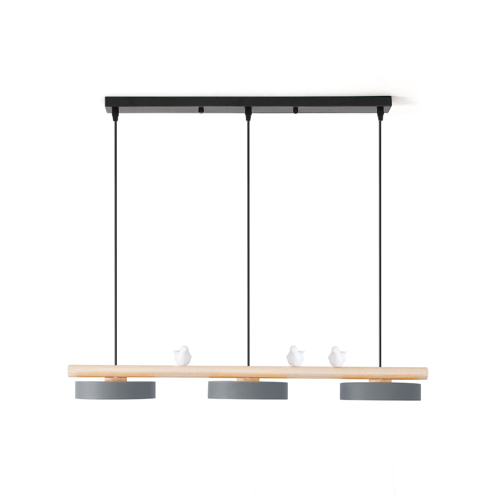 RAVENHURST AVIAN INSPIRATION HANGING LAMP