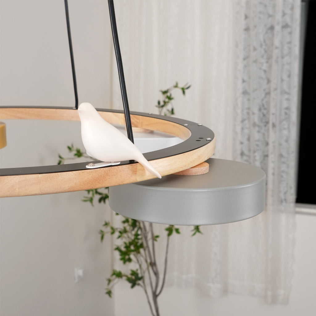 WINTERBORNE AURORA CIRCULAR LIGHTING