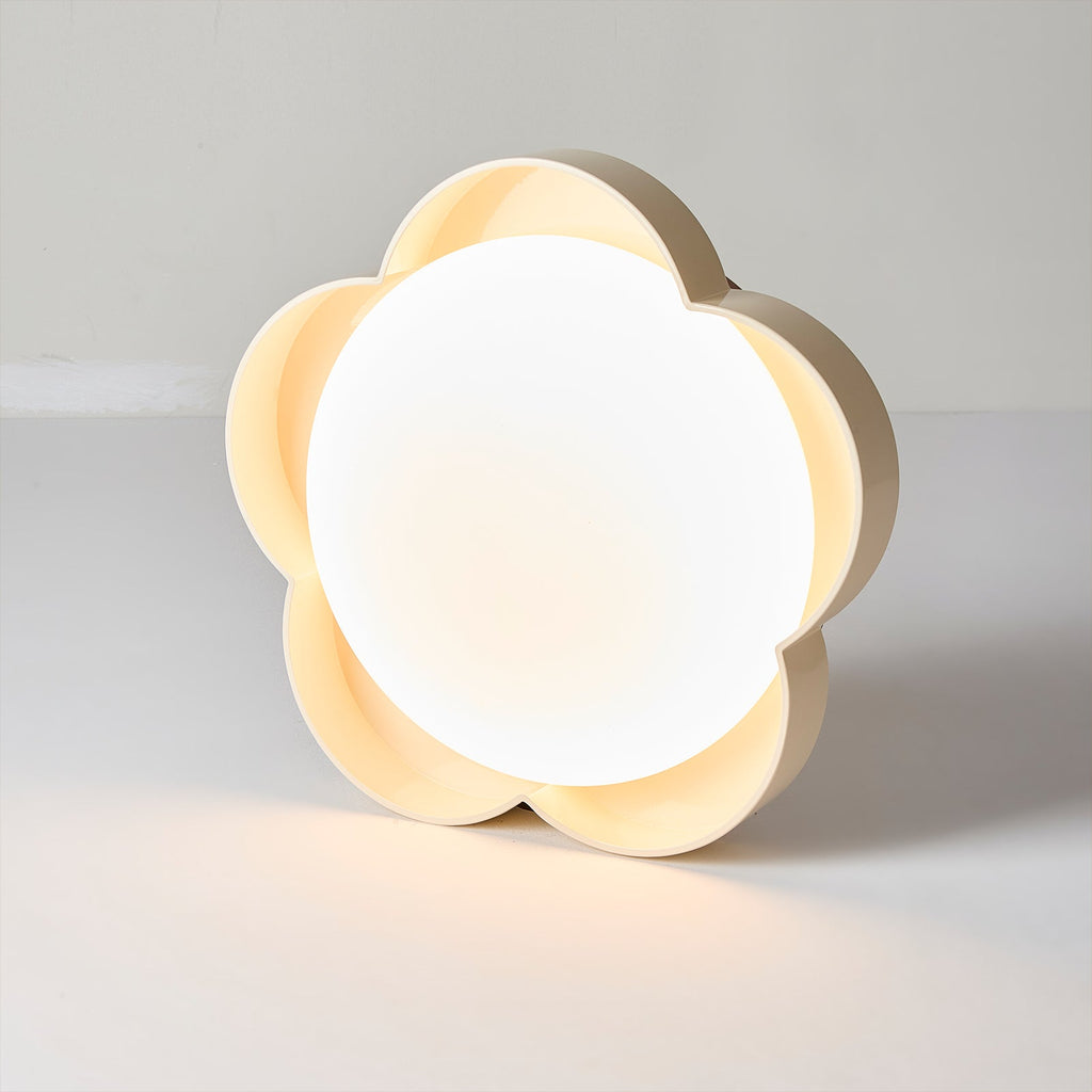RAVENHURST FROSTED GLASS CEILING ILLUMINATOR