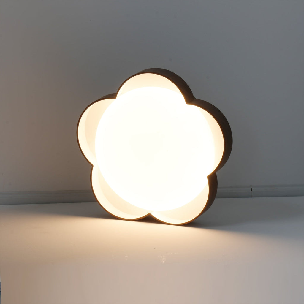 RAVENHURST FROSTED GLASS CEILING ILLUMINATOR