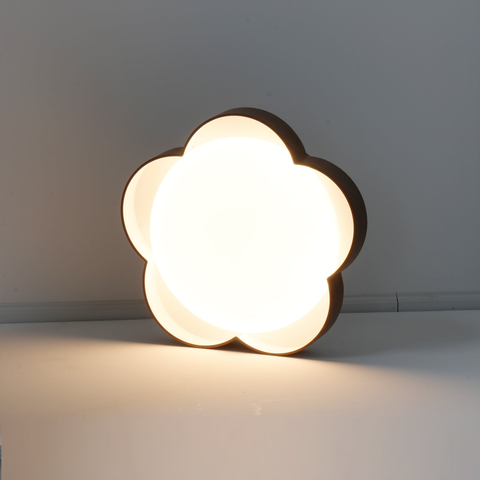 RAVENHURST FROSTED GLASS CEILING ILLUMINATOR
