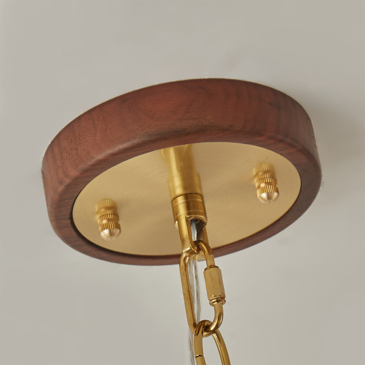 WINDSOR OAK CANOPY LIGHT